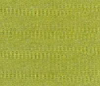 Mi-Teintes Paper Colour 480 Light Green