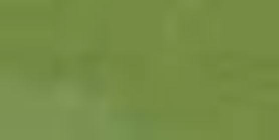 AS Oil Colour - S1 Australian Green Grey