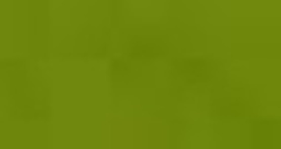 AS Oil Colour - S2 Australian Yellow Green
