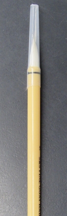 Bamboo Brush Small
