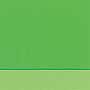 AS Oil Colour - S4 Cadmium Green