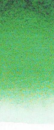 AS Water Colours - S2 Hookers Green Permanent