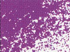 Conte Crayon Colour Red Violet 26