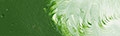 Matisse Structure Alpine Green S2