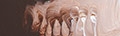 Matisse Structure Burnt Umber S1