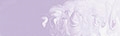 Matisse Structure Permanent Light Violet S2