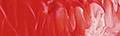Matisse Structure Matisse Scarlet DPP S7