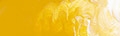 Matisse Structure Yellow Oxide S1