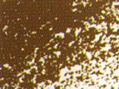 Conte Crayon Colour Raw Umber 54