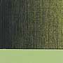 AS Oil Colour - S2 Olive Green