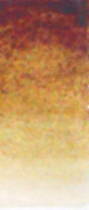 AS Water Colours - S1 Raw Umber