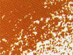 Conte Crayon Colour Red Brown 07