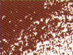 Conte Crayon Colour Bordeaux 31