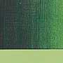 AS Oil Colour - S2 Sap Green