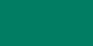 Permaset Aqua Standard Colour - Green B - 300ml Jar