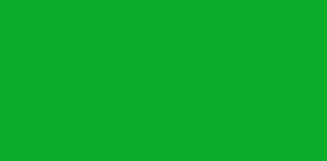 Permaset Aqua Standard Colour - Mid Green - 300ml Jar