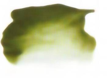 Atelier Interactive - Chromium Green Oxide - S2