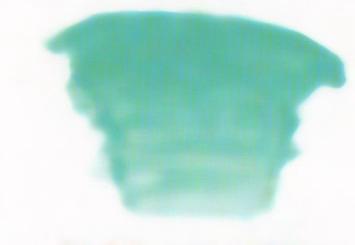 Atelier Interactive - Cobalt Turquoise Light Hue - S2