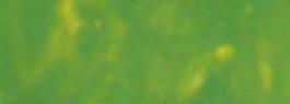 Chromacryl Fluoro Green 75ml
