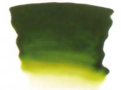 Atelier Interactive - Forest Green - S2