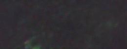 Chromacryl Forest Green 1 Lt