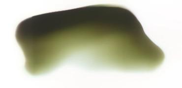 Atelier Interactive - Green Black - S1