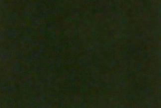 AS Oil Colour - S1 Ivory Black