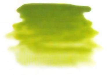 Atelier Interactive - Permanent Green Light - S2