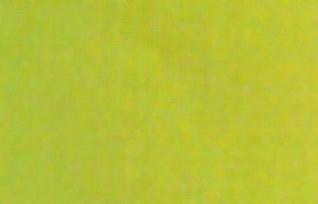 AS Oil Colour - S1 Spectrum Green Light