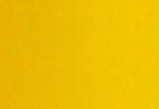 AS Oil Colour - S1 Spectrum Yellow