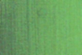 AS Oil Colour - S1 Terre Verte