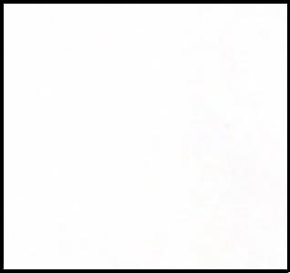 AS Oil Colour - S1 Titanium White